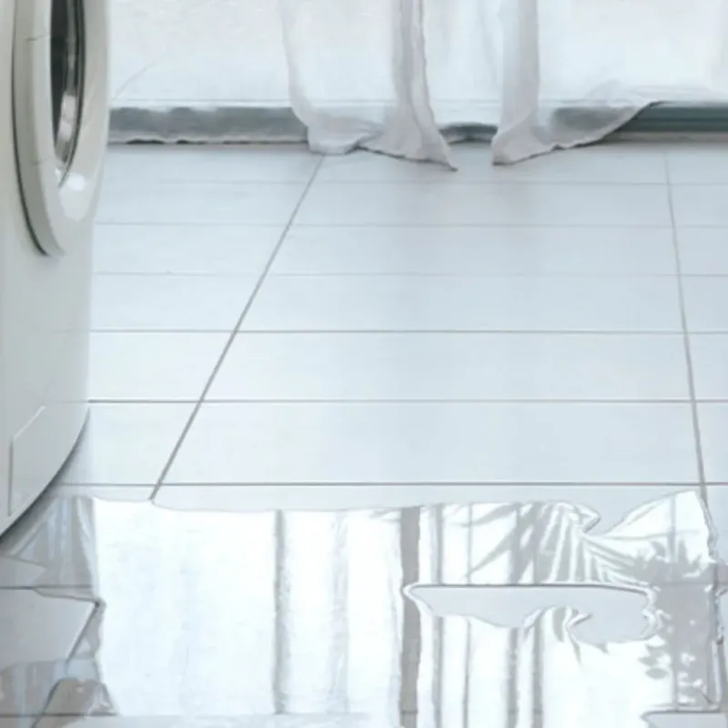 Appliance Leak Cleanup in Saint Marys, KS