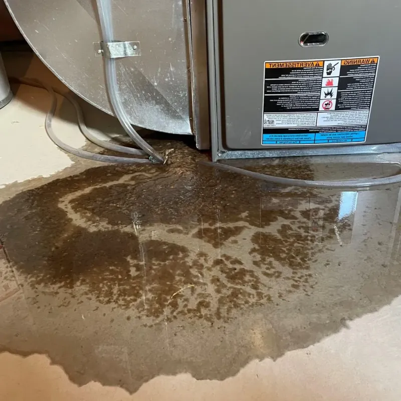 Pipe Burst and Leak Restoration in Saint Marys, KS