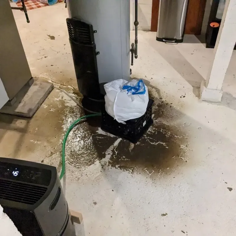 Sewage Backup Cleanup Service in Saint Marys, KS